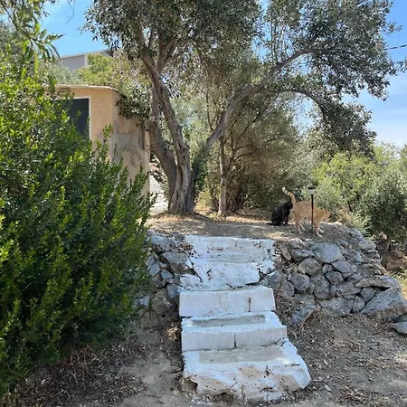 Dom wakacyjny Alexander