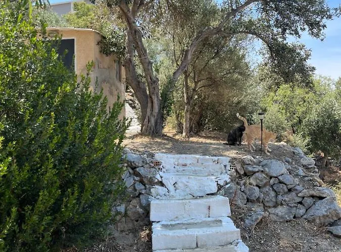 Holiday home Alexander